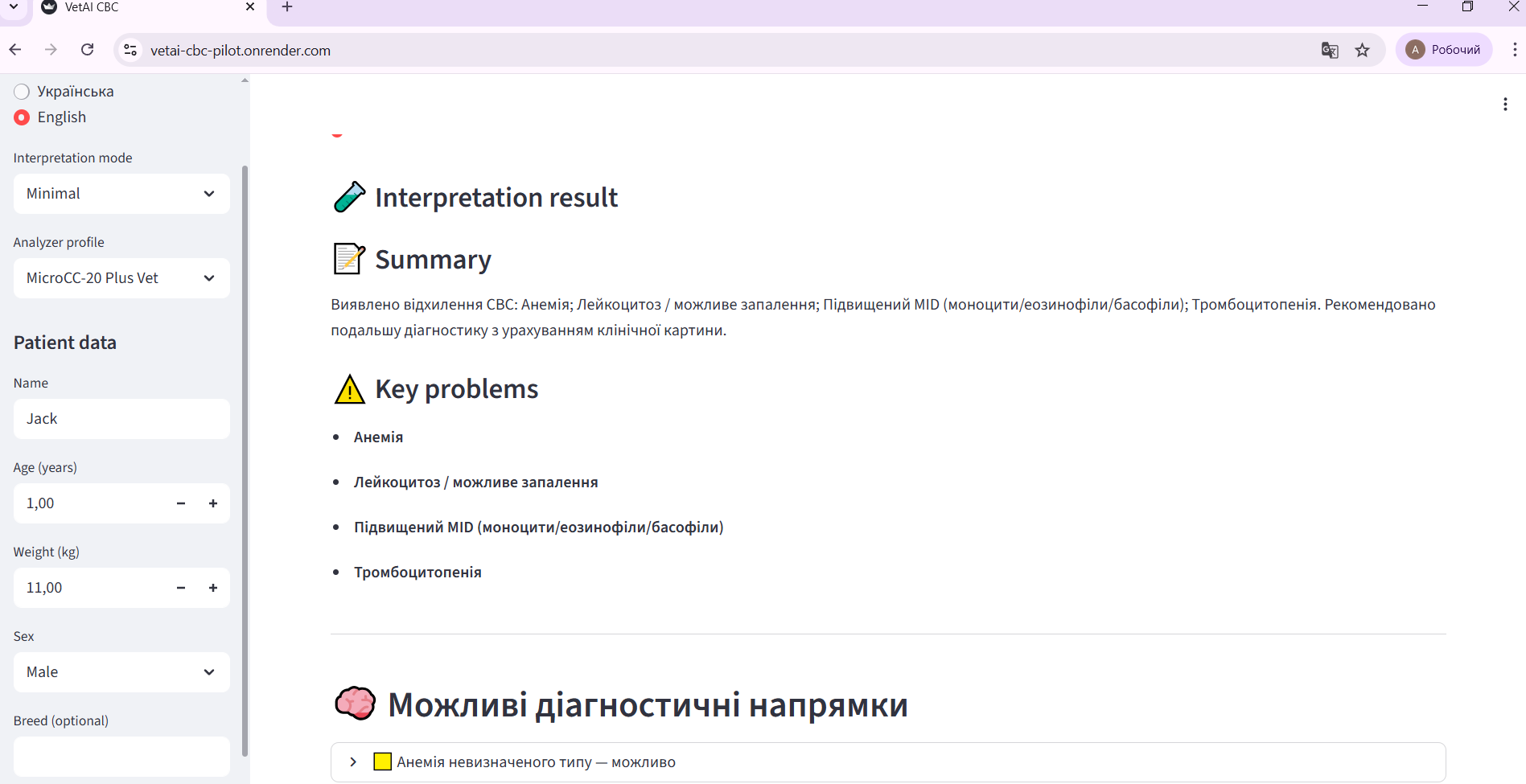 Interpretation result showing automated summary and key problems.